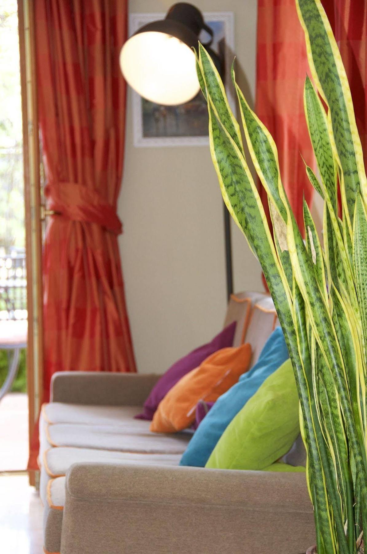 Hotel Tirrenia Sorrento Ngoại thất bức ảnh